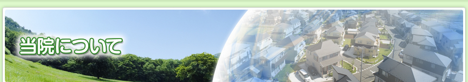 当院について