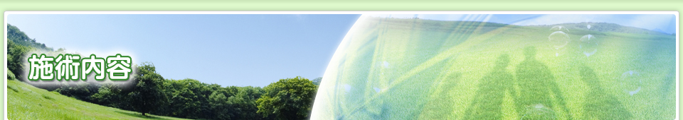 ページタイトル